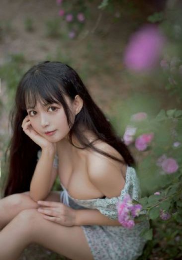 出发吧师傅_DVD免费观看视频