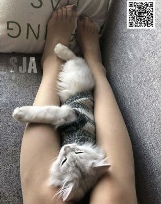 妹妹的朋友电影_国产剧在线播放