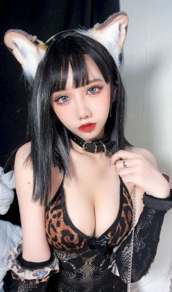 双凤奇案_免费在线观看