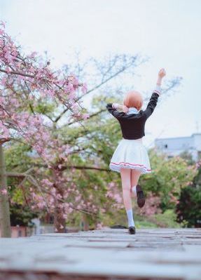电视世界_1080P全集免费观看